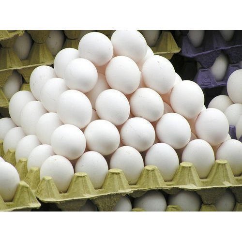 White Shelled Poultry Egg, High In Protein