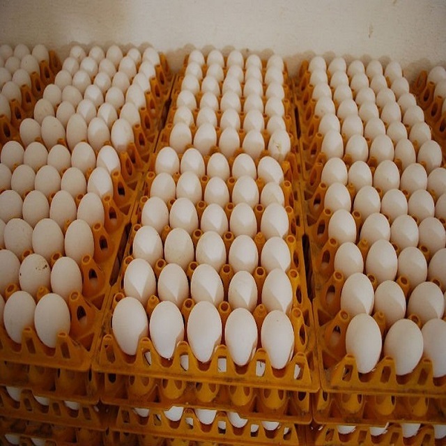 White Eggs, Packaging Type: Crate , For Business/ Household