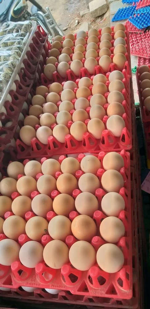 Aseel Brown Eggs, Health Is Wealth, Packaging Type: Trays With Box