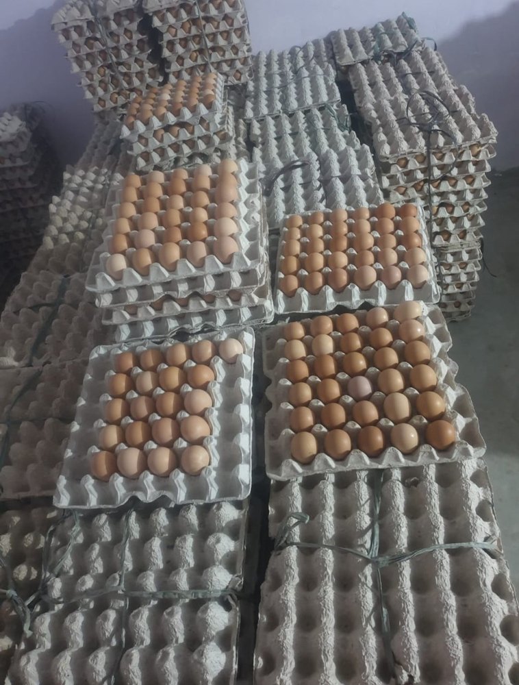 Top Quality Indbro Brown Eggs, For Mess And Household, Packaging Type: Carton img