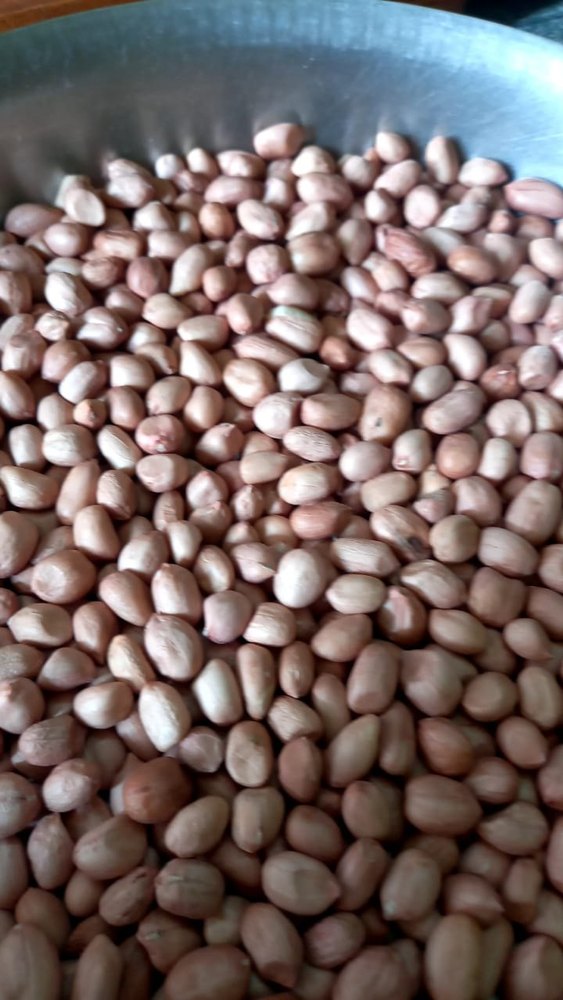 Organic Whole Groundnut Seed