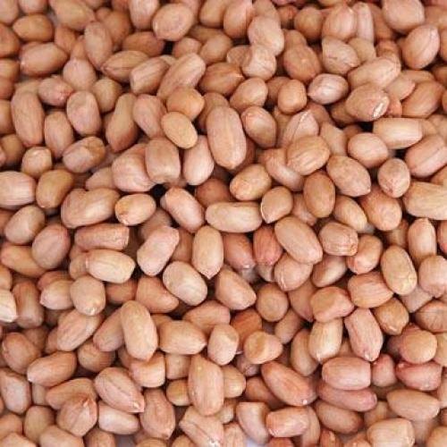 Peanuts, Packaging Type: PP Bags, Packaging Size: 20 Kg img