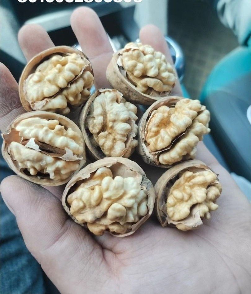 Kashmiri Kagzi Walnuts, Packaging Size: 1 Kg img