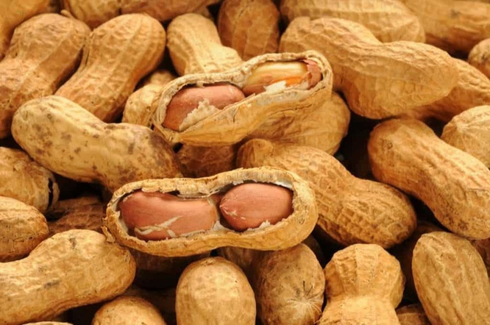 Natural Shell Peanut img