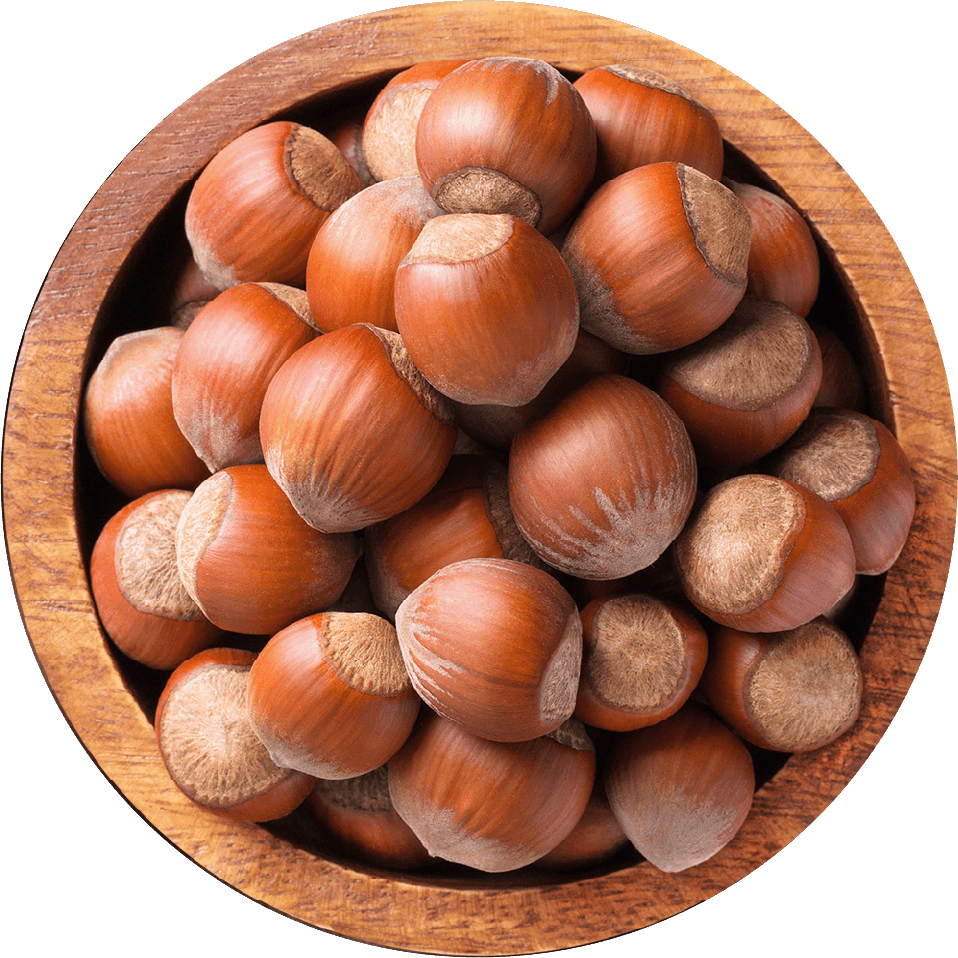 Peeled Hazelnuts, Packaging Size: 1 Kg, 5 Kg img