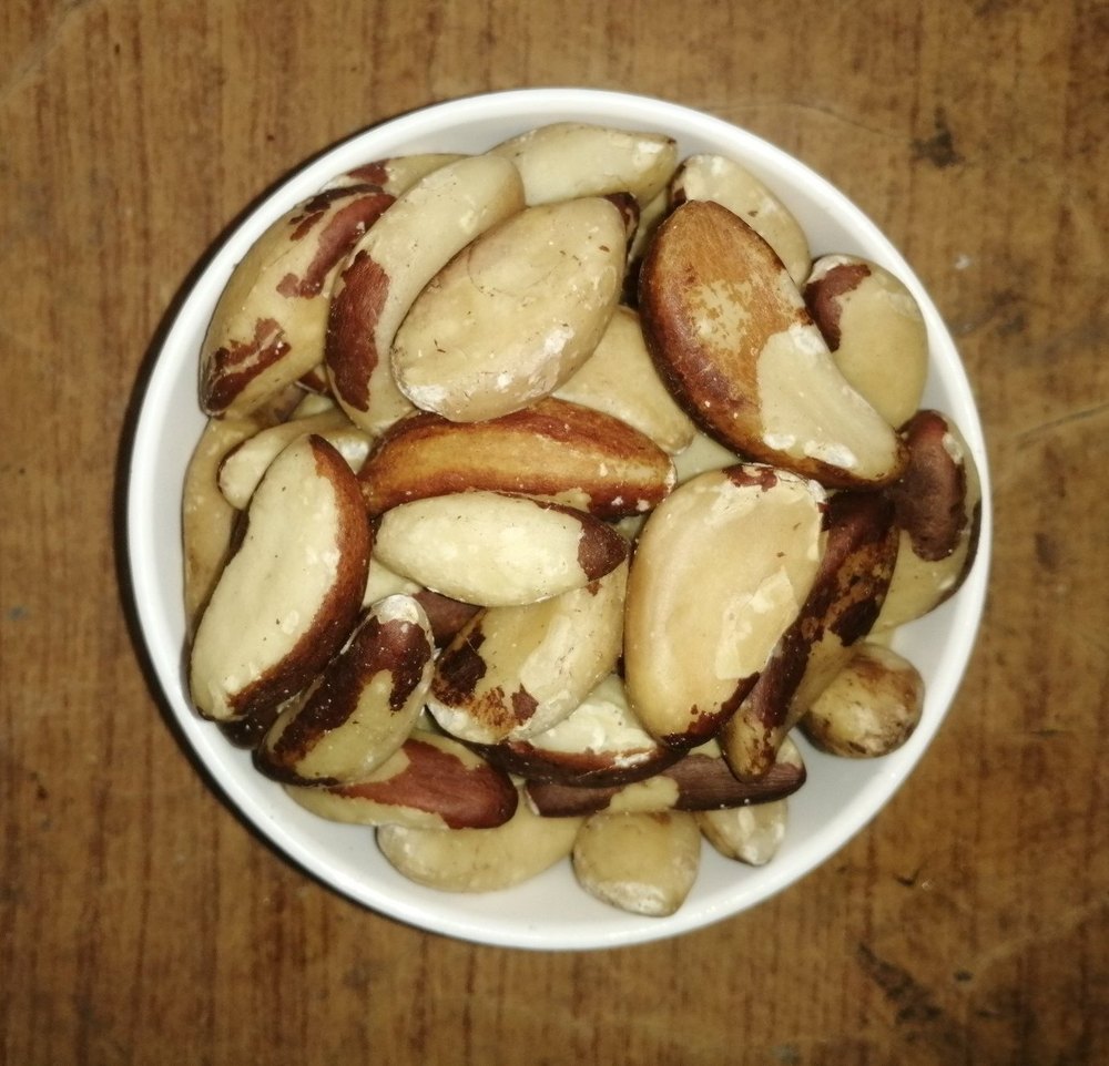 Dry Brazil Nut