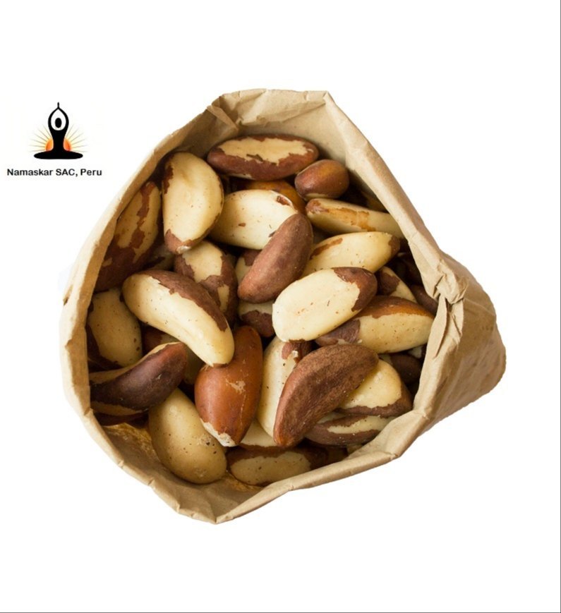 Brazil Nut Seed, Packaging Type: Vacuum Bag, Packaging Size: 1 kg, 10kg And 25 kg