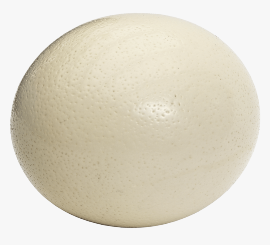 White Fresh Ostrich Eggs, For Restaurant, Packaging Type: Cartons img