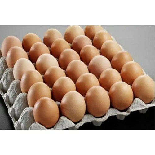 Aseel Organic Egg, For Household, Packaging Type: Box img