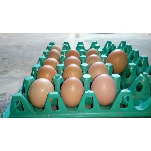 Organic Brown Eggs, For Restaurant, Packaging Type: Egg Crate img