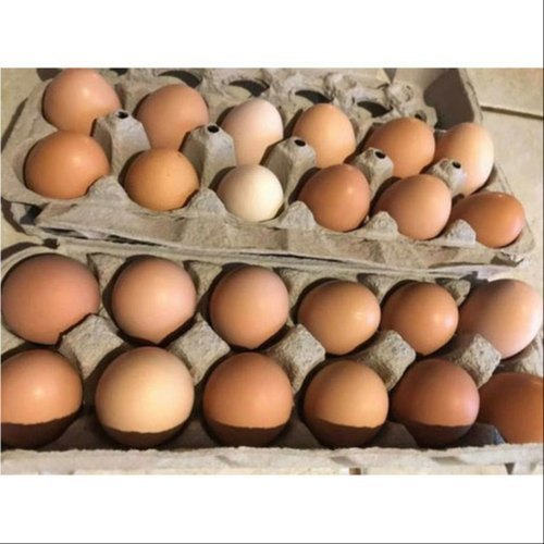 Brown BV380 Fresh Organic Eggs, Packaging Type: Tray img