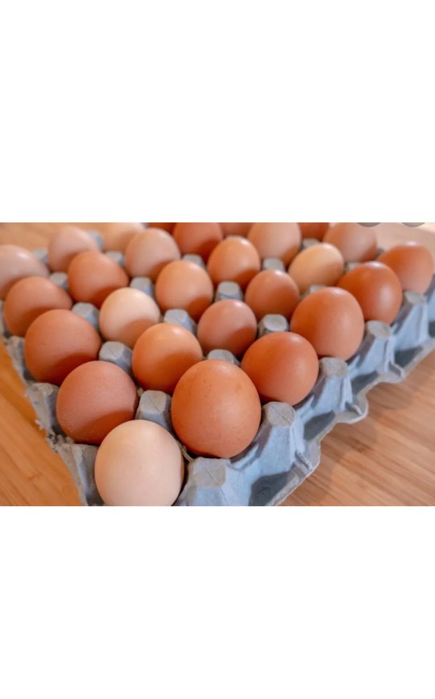 Brown Bird Eggs, Packaging Type: Tray img