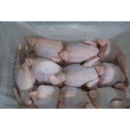 Halal Frozen Whole Chicken, For Restaurant, Packaging Size: 5kgs img