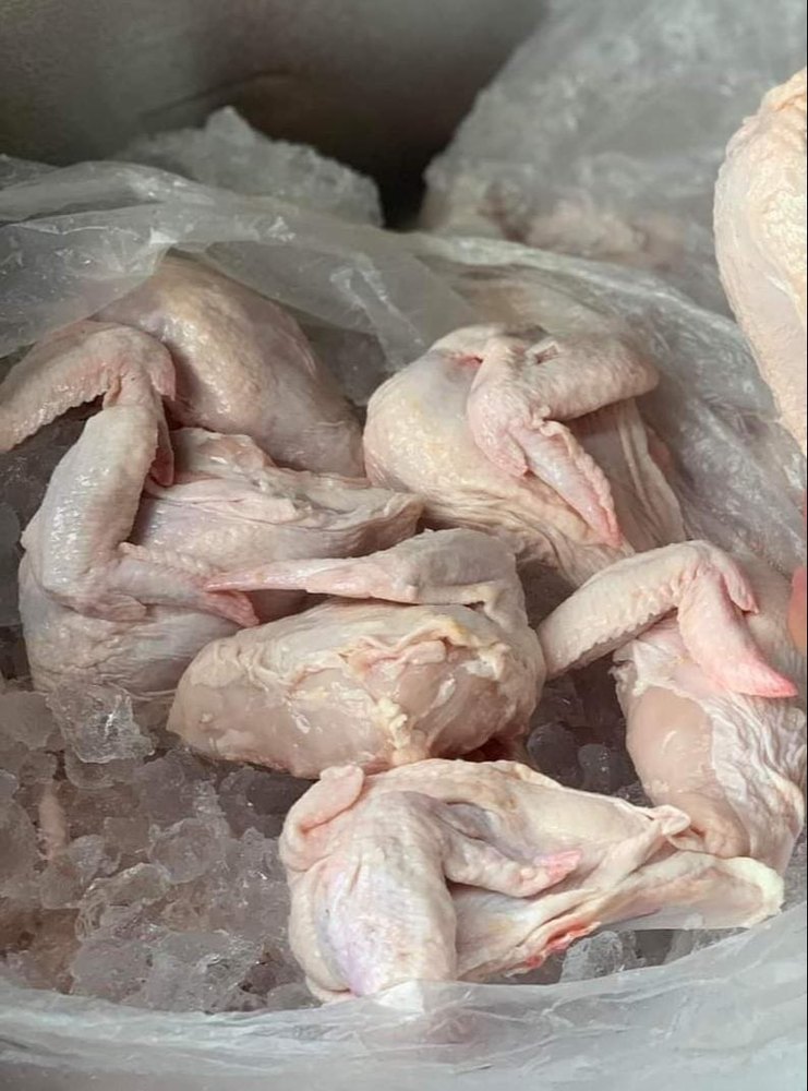 Halal Frozen Whole Chicken For Food, Packaging Type: Loose img