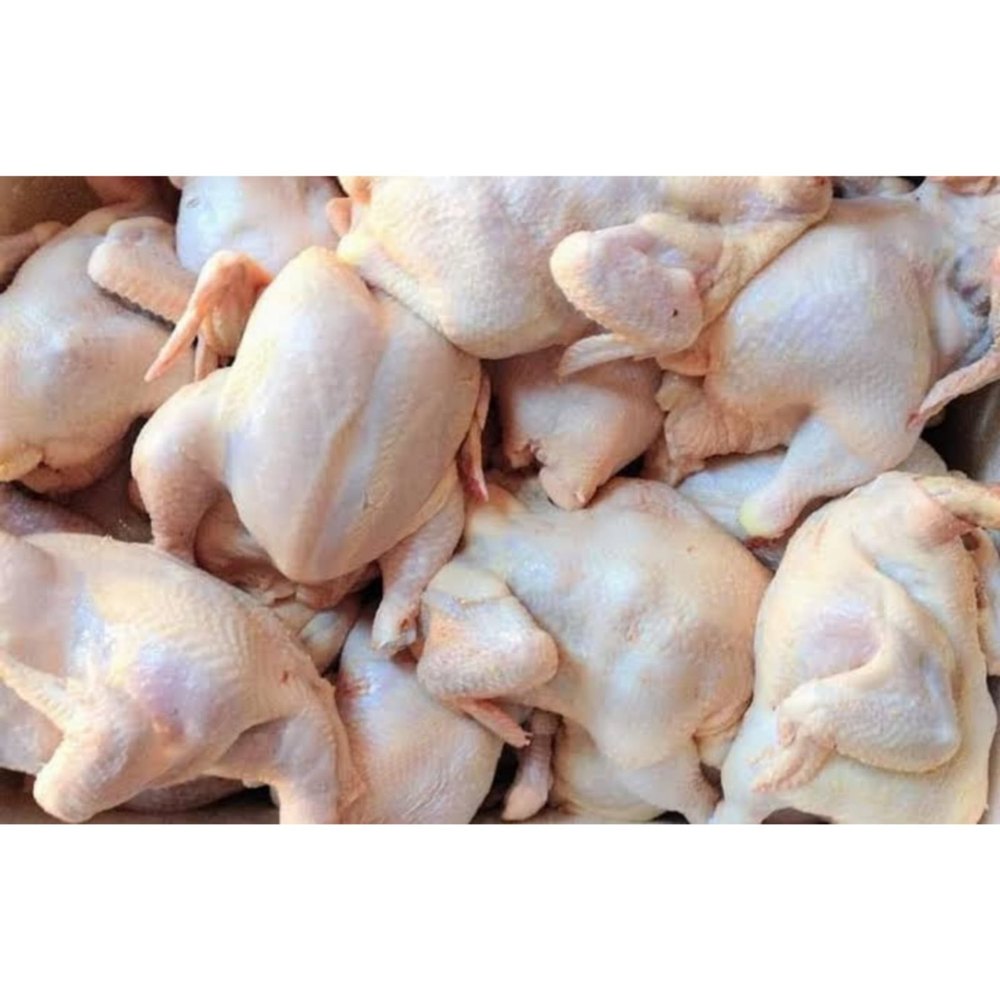 Halal Frozen Whole Chicken, For Household