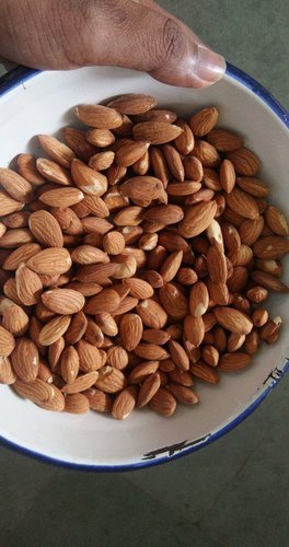Single Touch Almond, Packaging Size: 25 img
