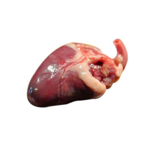 Chicken Heart, Packaging Type: Packet, for Restaurant