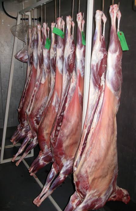 Pan India Sheep Carcass Meat, for Restaurant, 6-15