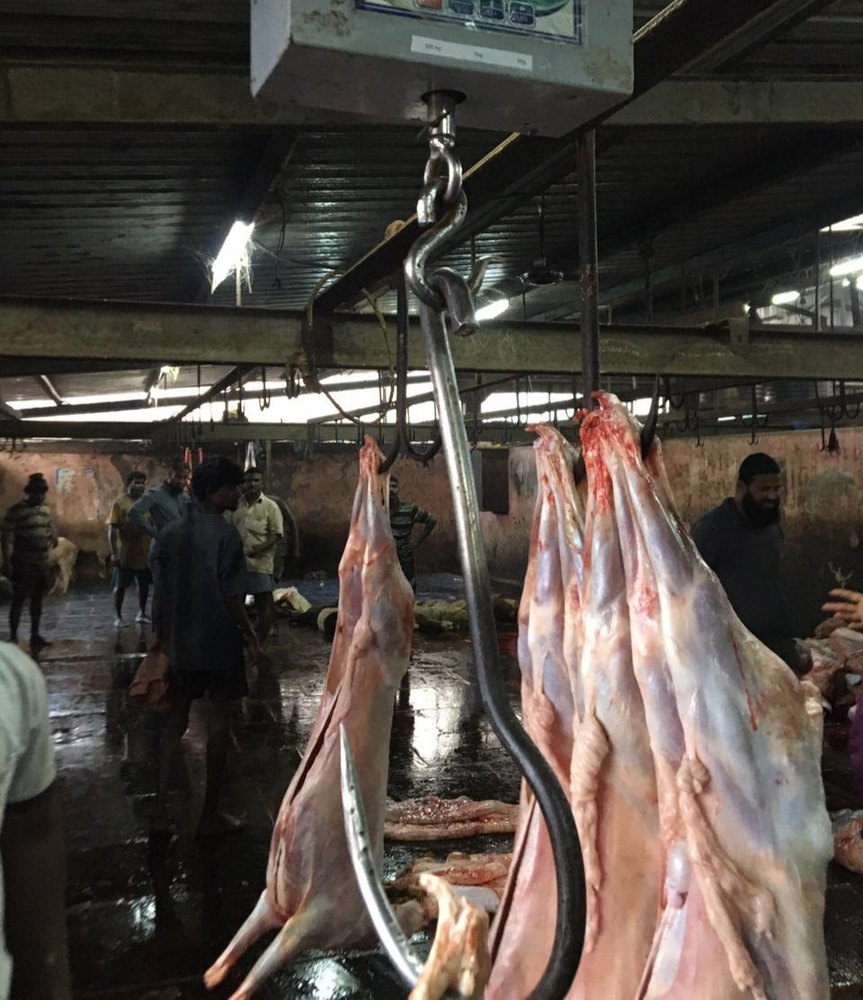 Sheep Carcass, For Restaurant, 10 Kg