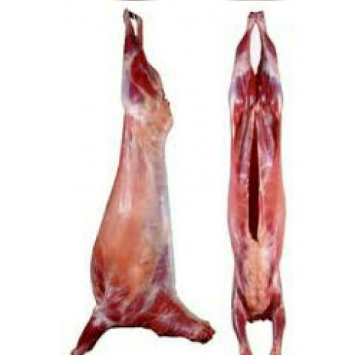 Sheep Meat Mutton, Packaging Type: Box With Ice Box, 100