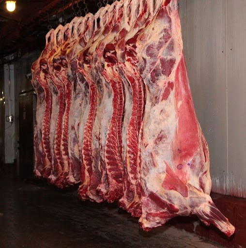 Fresh Sheep Meat, Packaging Type: Plastic Bag, 15-30 Kg
