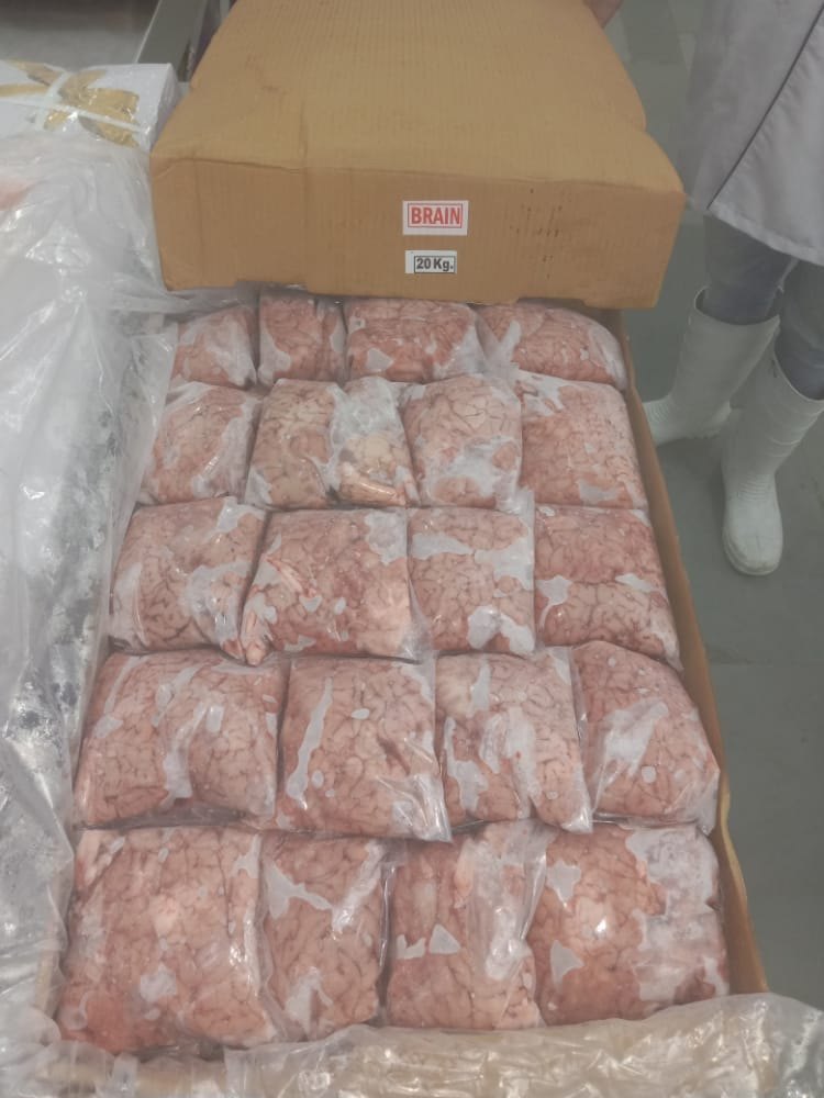 Buffalo Brain Meat, For Restaurant, 20 KG img