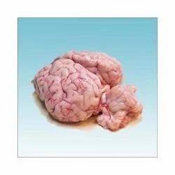 20 kg Frozen Buffalo Offal Brain, Packaging: Packaging: Corrugated Box img