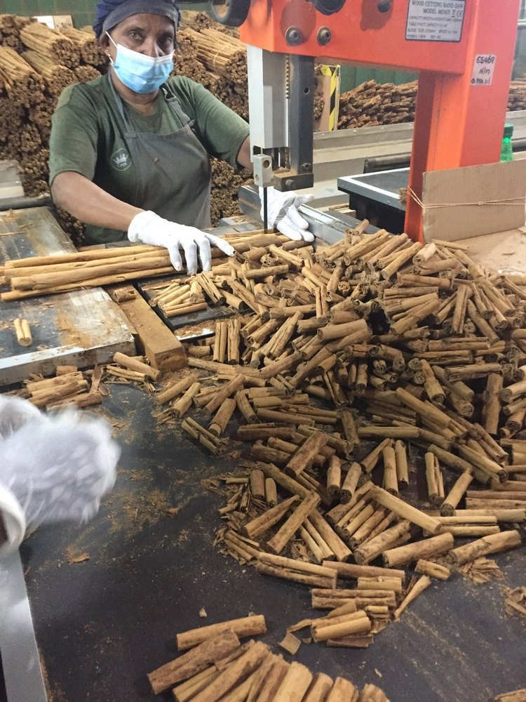 Cinnamon, Sri Lanka Variety, Packaging Type: 5 Kilos In Carton Box, for Mess