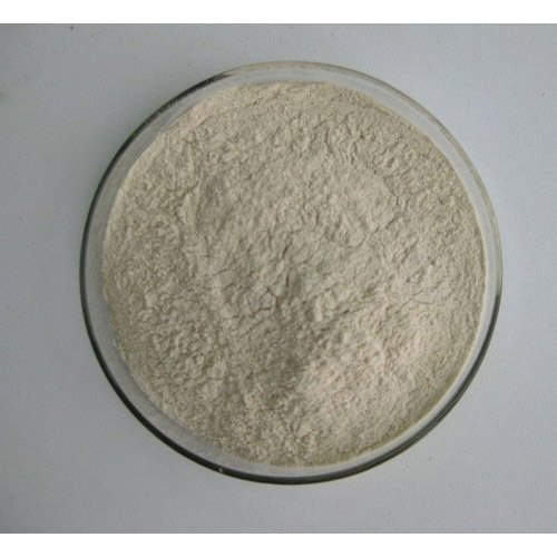 Meat Extract Powder