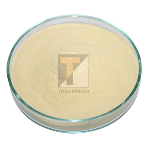 Meat Extract Powder