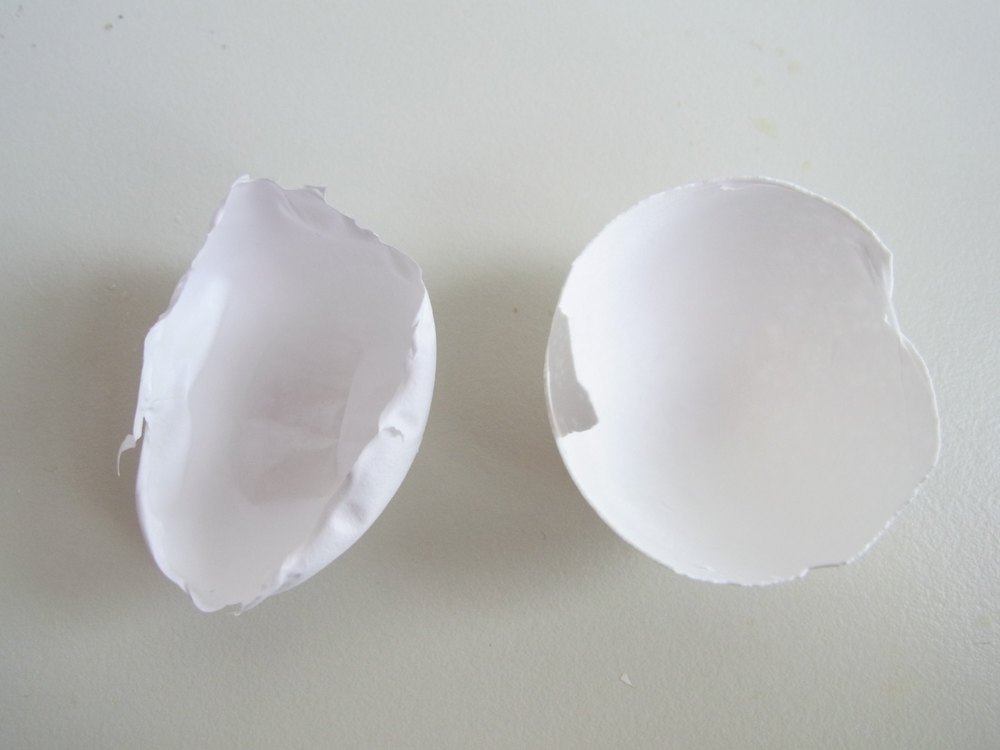 Natural Egg Shell Membrane