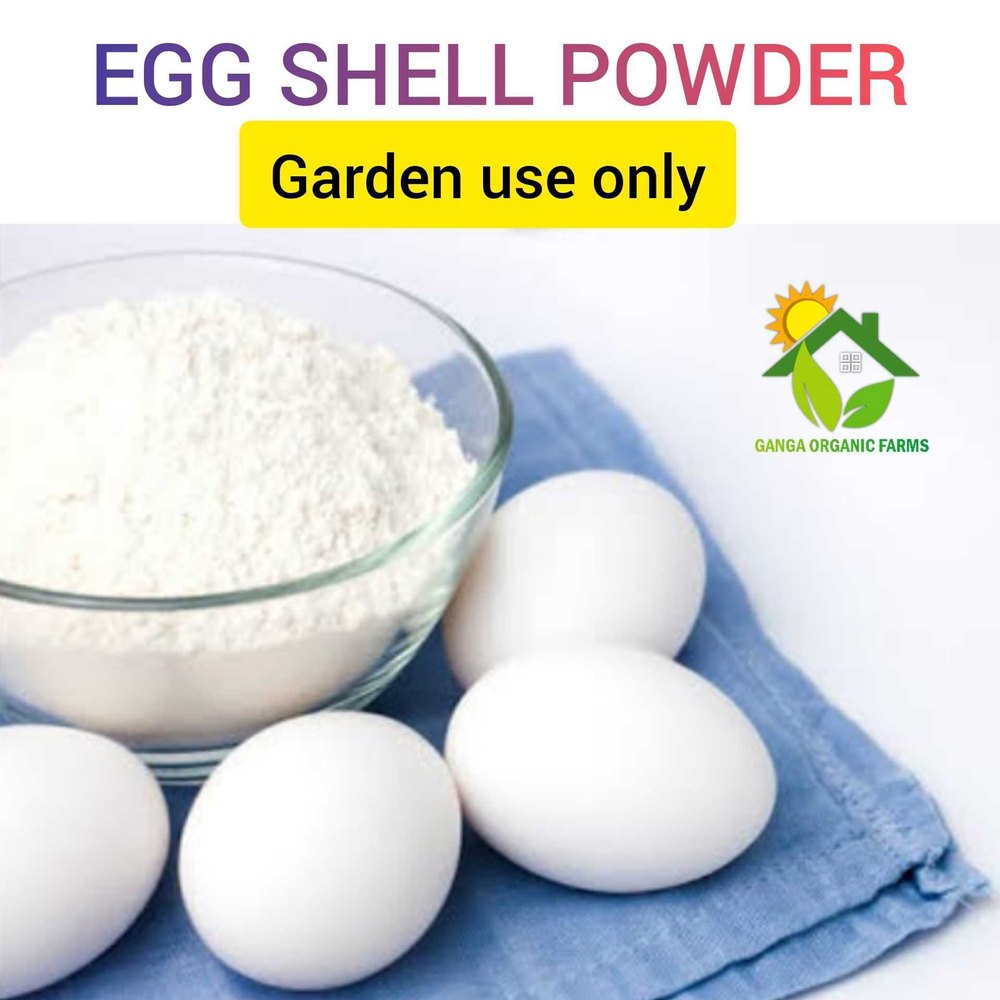 Bio-Tech Grade Egg Shell Powder (0.5 Kg - 100 Kg) - Garden Use Only, For Agriculture, Target Crops: Vegetables