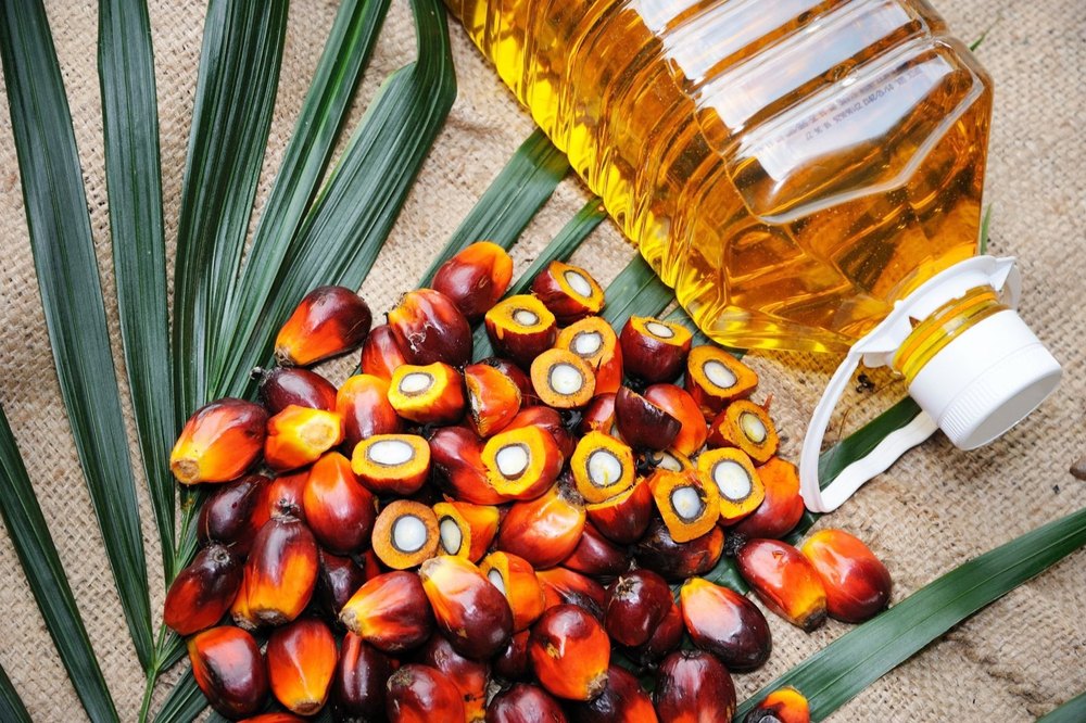 Poly Unsaturated PALM OIL IMPORTER IN INDIA, Packaging Type: Plastic Container, Packaging Size: 5 litre