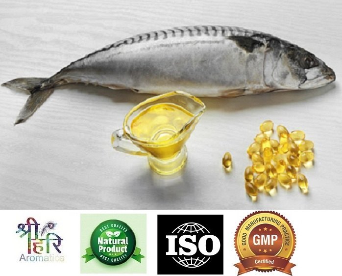 Omega 3 Fish Oil, Packaging Type: Plastic Bottle