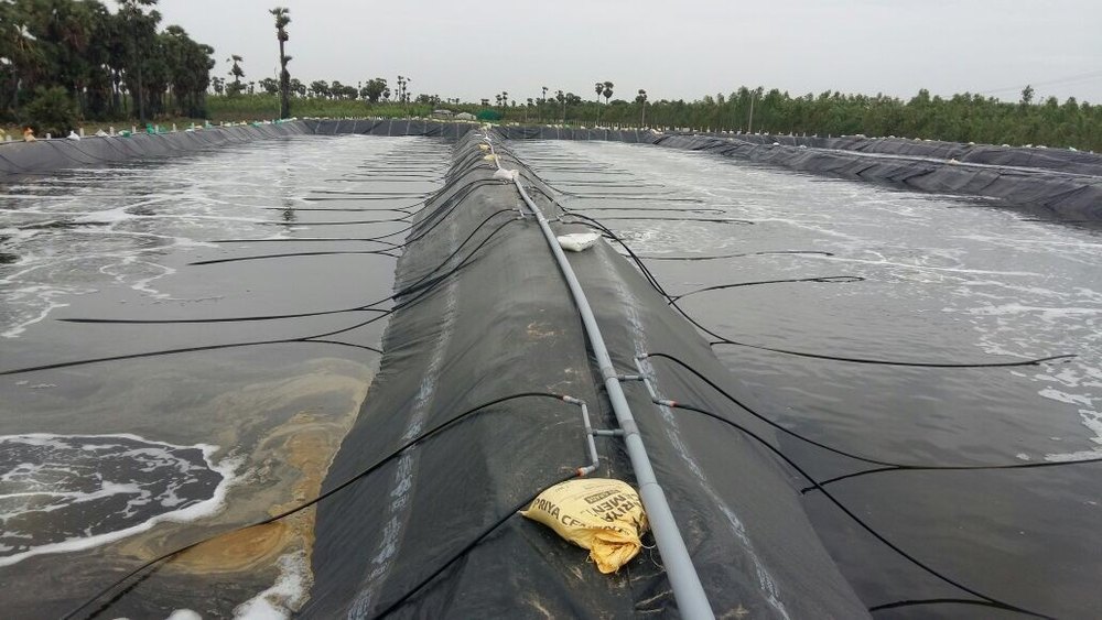 TP631F Aquaculture Aeration Diffuser, 5(m3/h), Size: 63 X1000 mm img