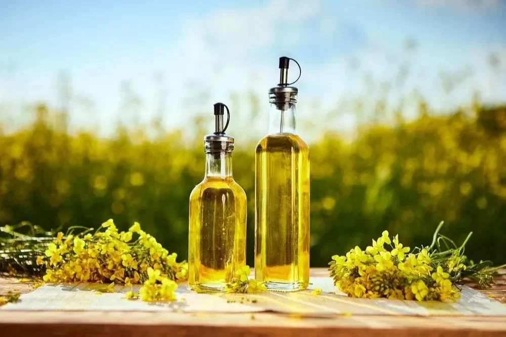 Saffola Refined Rapeseed Oil, Packaging Type: Plastic Bottle, Packaging Size: 5 litre img