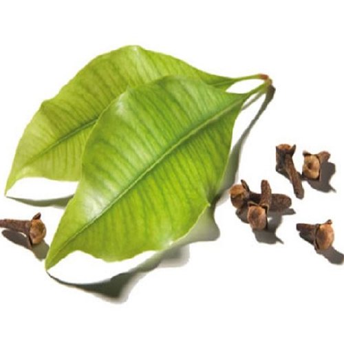 India Syzygium Aromaticum Clove Leaf Essential Oil