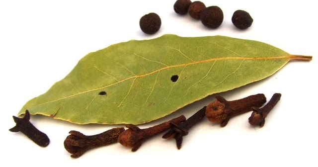 Organic Clove Leaf Oil img