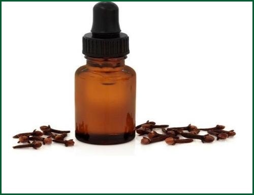 Shiv Sales Corporation Pungent Clove Leaf Oil img